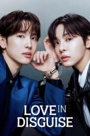 Love in Disguise (2026) Hindi Season 1 Complete AMZN